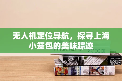无人机定位导航，探寻上海小笼包的美味踪迹