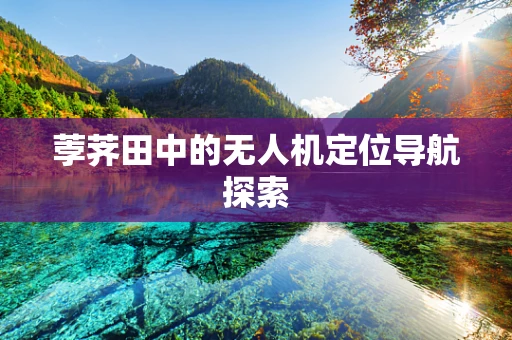 荸荠田中的无人机定位导航探索