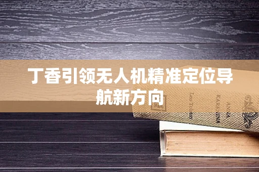 丁香引领无人机精准定位导航新方向