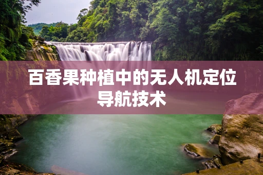 百香果种植中的无人机定位导航技术