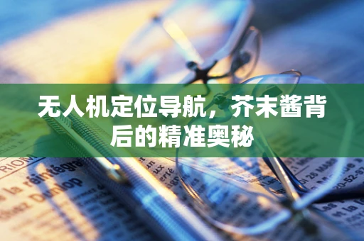 无人机定位导航，芥末酱背后的精准奥秘