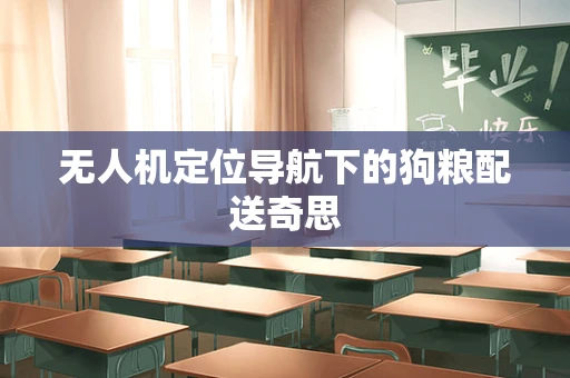 无人机定位导航下的狗粮配送奇思