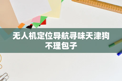 无人机定位导航寻味天津狗不理包子