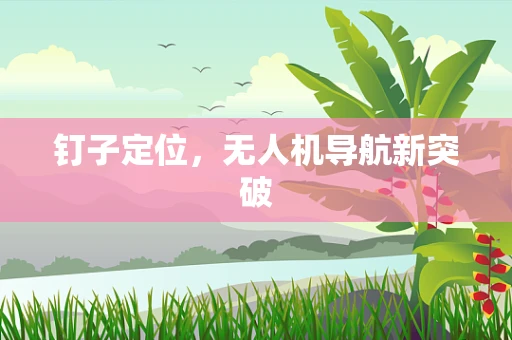钉子定位，无人机导航新突破
