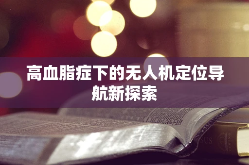 高血脂症下的无人机定位导航新探索