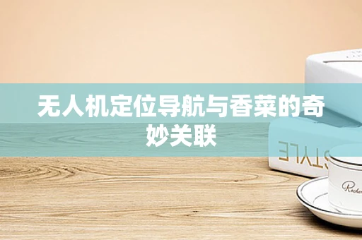 无人机定位导航与香菜的奇妙关联