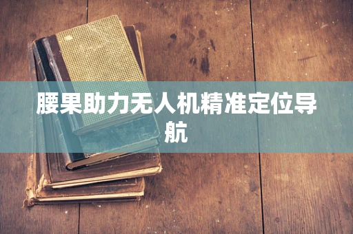 腰果助力无人机精准定位导航