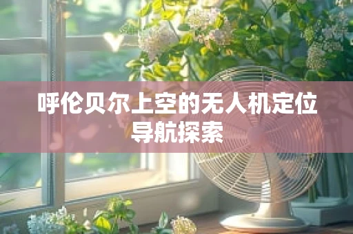 呼伦贝尔上空的无人机定位导航探索