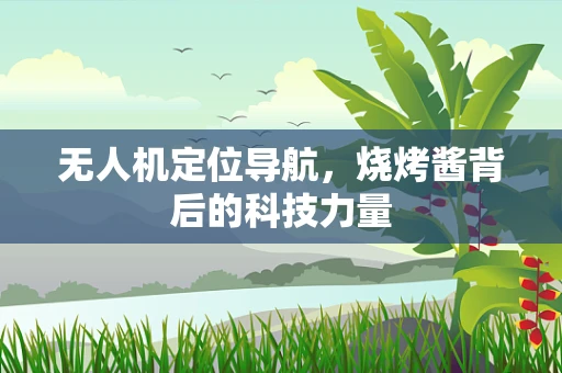 无人机定位导航，烧烤酱背后的科技力量