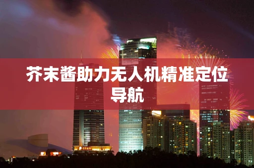芥末酱助力无人机精准定位导航