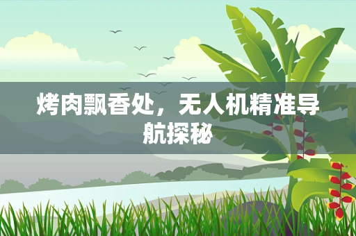 烤肉飘香处，无人机精准导航探秘