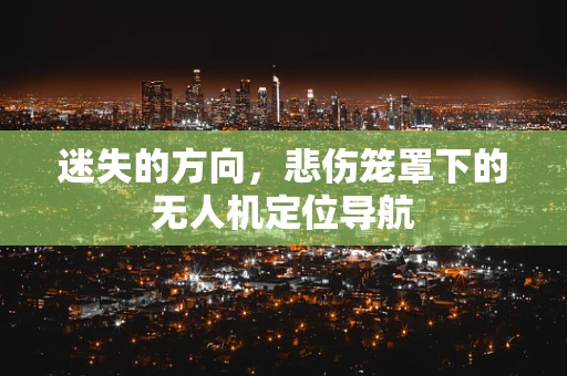 迷失的方向，悲伤笼罩下的无人机定位导航