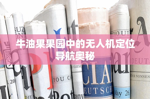 牛油果果园中的无人机定位导航奥秘