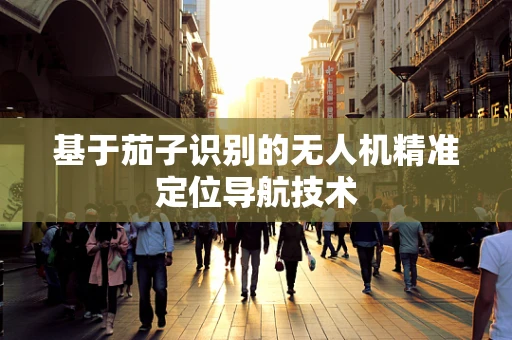 基于茄子识别的无人机精准定位导航技术