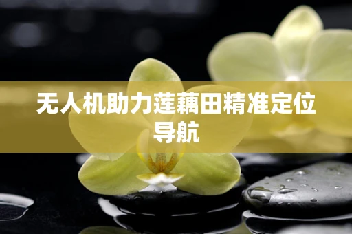 无人机助力莲藕田精准定位导航