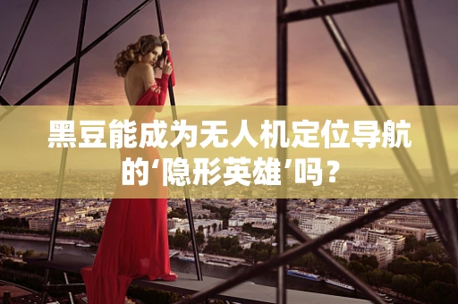 黑豆能成为无人机定位导航的‘隐形英雄’吗？