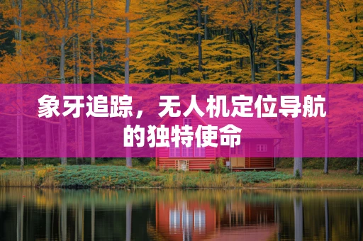 象牙追踪，无人机定位导航的独特使命