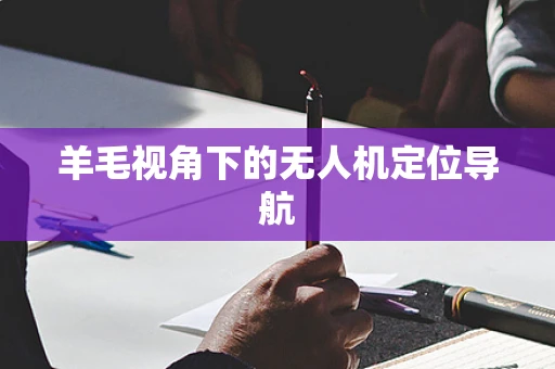 羊毛视角下的无人机定位导航