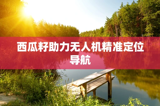 西瓜籽助力无人机精准定位导航