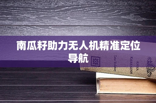 南瓜籽助力无人机精准定位导航
