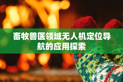 畜牧兽医领域无人机定位导航的应用探索