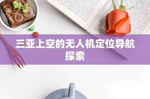 三亚上空的无人机定位导航探索