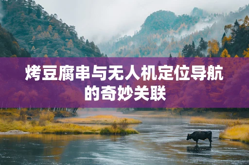 烤豆腐串与无人机定位导航的奇妙关联
