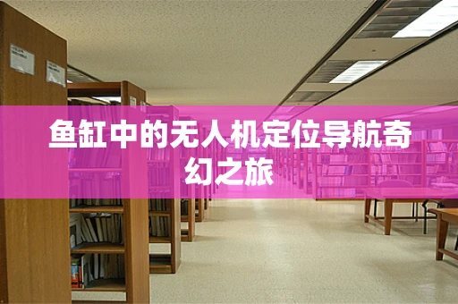 鱼缸中的无人机定位导航奇幻之旅