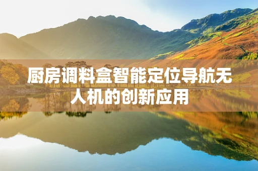 厨房调料盒智能定位导航无人机的创新应用