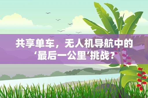 共享单车，无人机导航中的‘最后一公里’挑战？