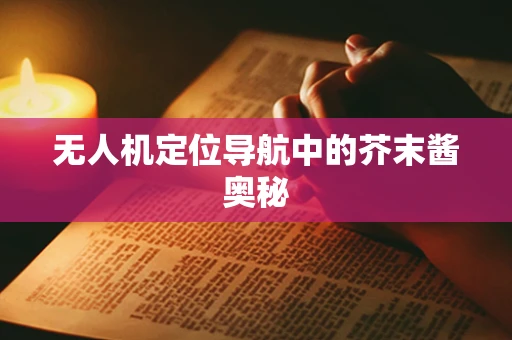 无人机定位导航中的芥末酱奥秘