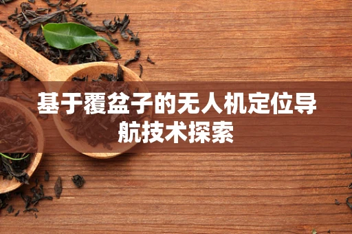 基于覆盆子的无人机定位导航技术探索