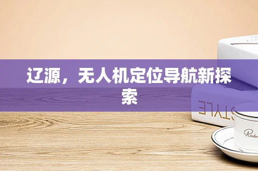 辽源，无人机定位导航新探索