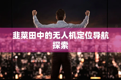 韭菜田中的无人机定位导航探索