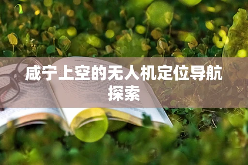 咸宁上空的无人机定位导航探索