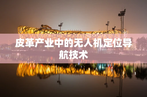 皮革产业中的无人机定位导航技术