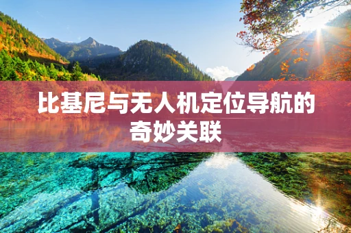 比基尼与无人机定位导航的奇妙关联
