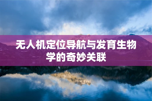 无人机定位导航与发育生物学的奇妙关联