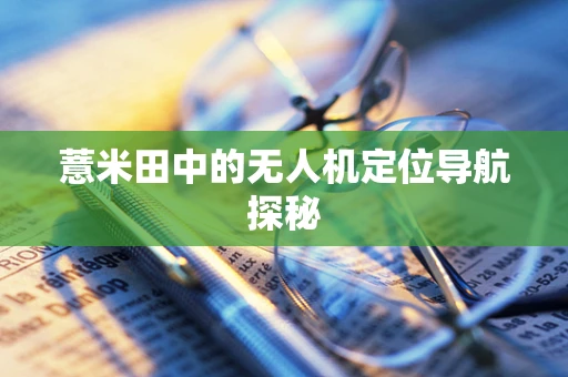 薏米田中的无人机定位导航探秘