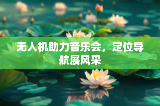 无人机助力音乐会，定位导航展风采