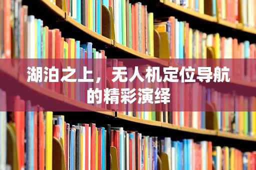 湖泊之上，无人机定位导航的精彩演绎