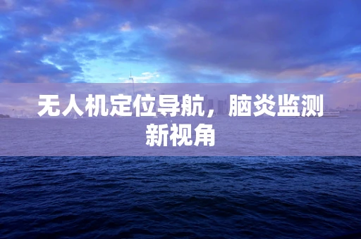 无人机定位导航，脑炎监测新视角