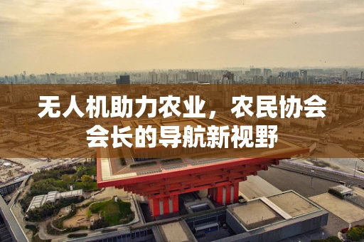 无人机助力农业，农民协会会长的导航新视野