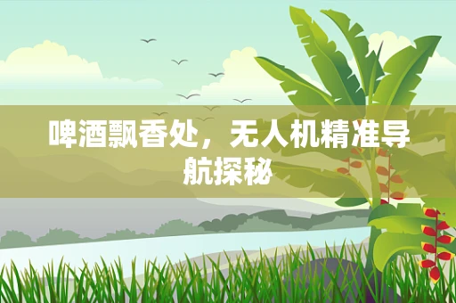啤酒飘香处，无人机精准导航探秘