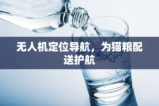 无人机定位导航，为猫粮配送护航