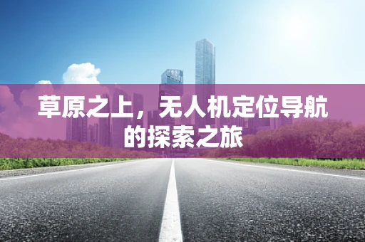 草原之上，无人机定位导航的探索之旅