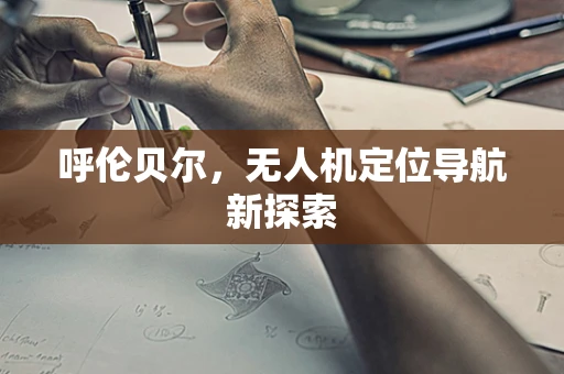 呼伦贝尔，无人机定位导航新探索