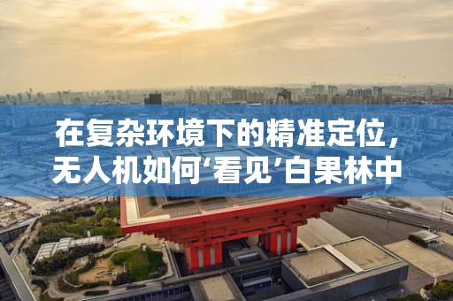 在复杂环境下的精准定位，无人机如何‘看见’白果林中的每一颗果实？