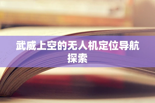 武威上空的无人机定位导航探索