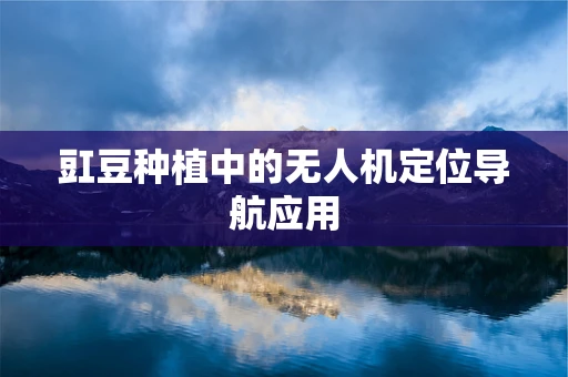 豇豆种植中的无人机定位导航应用